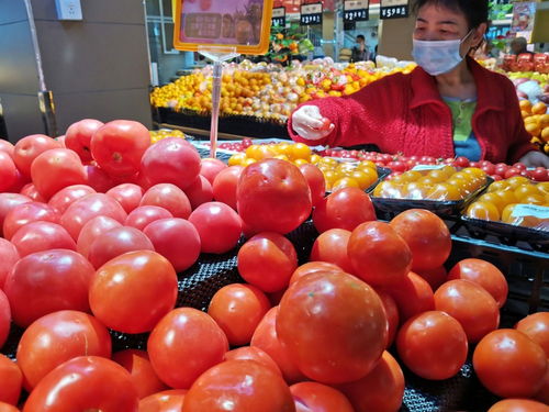 深圳強化食用農產品質量安全監管 批發市場月快檢900次，筑牢全鏈條安全防線
